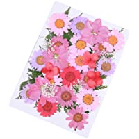 Daimay 35 PCS Flores Secas Naturales Flores prensadas Reales múltiples mezcladas Surtido Colorido para Resina DIY Joyas…